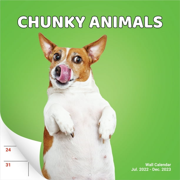 Eucatus 2022-2023 Funny Animal Calendar, 18 Month, 12" x 24" - Walmart.com