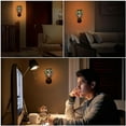 Glass For Electric Light Himalayans Warmer Melt Night Home Office 3D