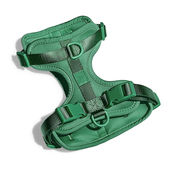 Wild One Cushioned Dog Harness, Spruce, Large