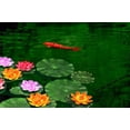 thumbnail image 4 of Yirtree Solar Power Energy Floating Lotus Flower LED Accent Light for Pool Pond Garden Night Light Fake Lotus Flower Leaf LED Light Solar Powered Garden Pond Floating Floral Lamp, 4 of 8