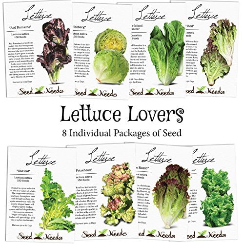 Lettuce Lovers Assortment (8 Individual Packets of Lettuce Seeds) Non-GMO Seeds by Seed Needs ...