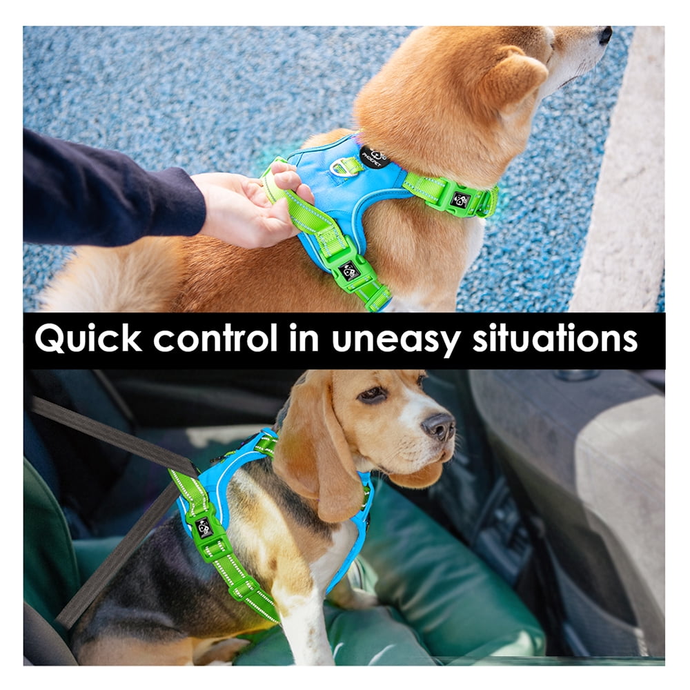 PHOEPET No Pull Dog Harness, Unique Colors Reflective Adjustable Dog Vest, with Soft Training Handle Metal Clips for Small Medium Large Dogs (Blue Base & Green Straps)
