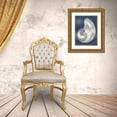 thumbnail image 3 of Kelly, Caroline 19x24 Gold Ornate Wood Framed with Double Matting Museum Art Print Titled - Silver Shell on Indigo Blue I, 3 of 4