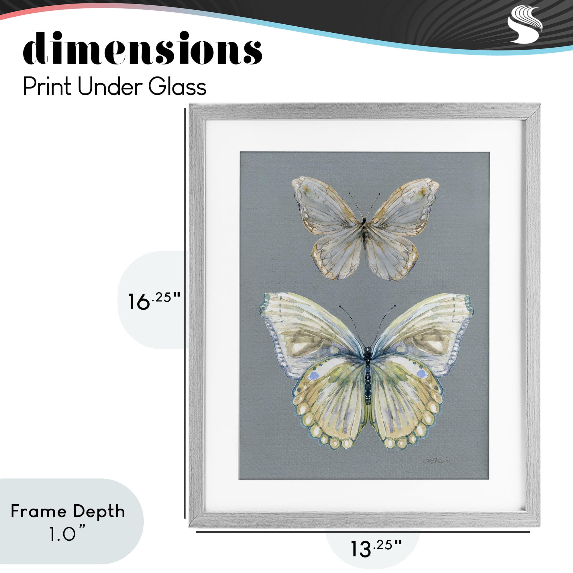 Stupell Industries Butterfly Pair Study Gray Framed Print Under Glass, design by Carol Robinson