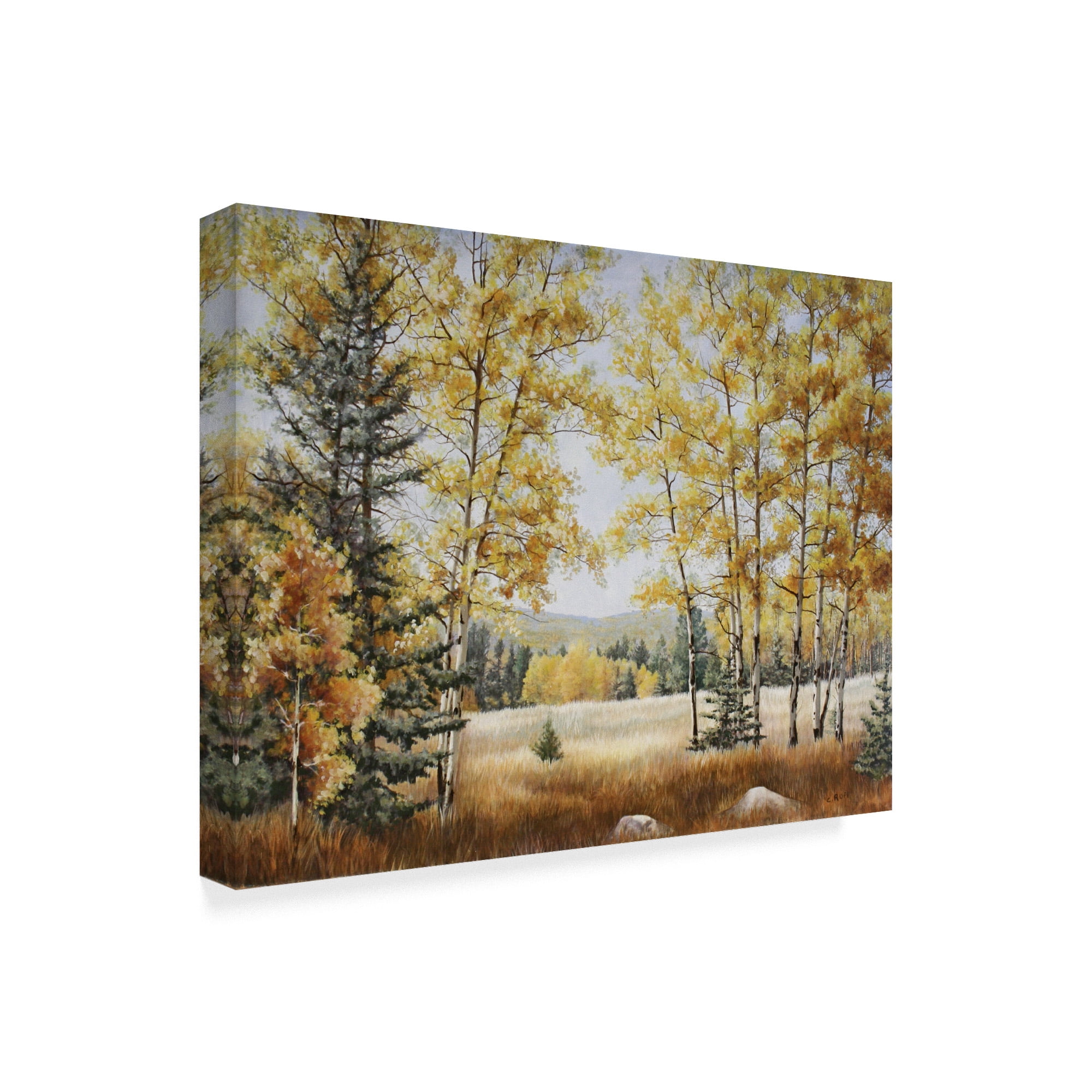 Trademark Fine Art 'Fall Meadow' Canvas Art by Carol J Rupp