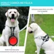 thumbnail image 4 of Pecheras Táctico Para Perros Mascotas Y Correas Arnés Perro, 4 of 8