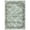 Green, variant on FairOnly 10'x13'Flroal Printed Area Rug for Living Room Non Slip Stain Resistant Modern Soft Floor Rug for Bedroom Laundry Bathroom,Pink