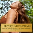 thumbnail image 2 of Mascarilla para cabello Herbal Essences Bío:Renew Reconstruction Mask Argan Oil & Aloe 300 ml, 2 of 5