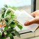 thumbnail image 3 of 150mL jardín plantas suculentas cuentagotas botella de riego hervidor de Alcohol Wdftyju Libre de BPA, 3 of 3