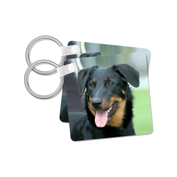 3dRose, Beauceron, set of 2 Key Chains