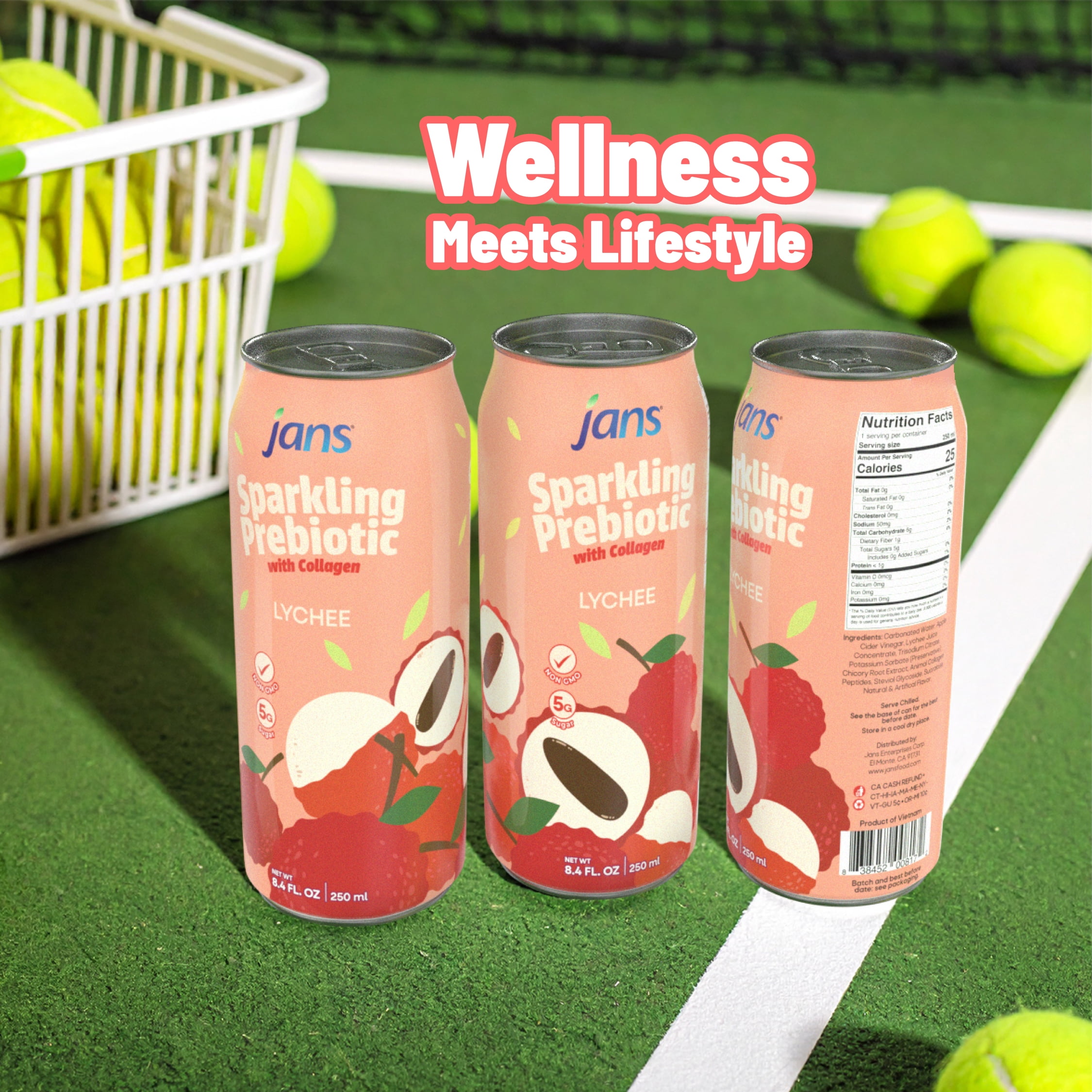 Jans Sparkling Prebiotic Soda Beverage, 8.4 oz Cans – Low Calorie, No Added Sugar – Non-GMO Sparkling Fruit Beverage – Gut Health Support – Naturally Refreshing (6-Pack, Lychee with Collagen)