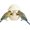 White, variant on Mushroom Bird Feeding Bowl, No Mess Pet Cage Feeder, Covered Food or Water Bowl for Small Animals Budgie Cockatiel Hamster