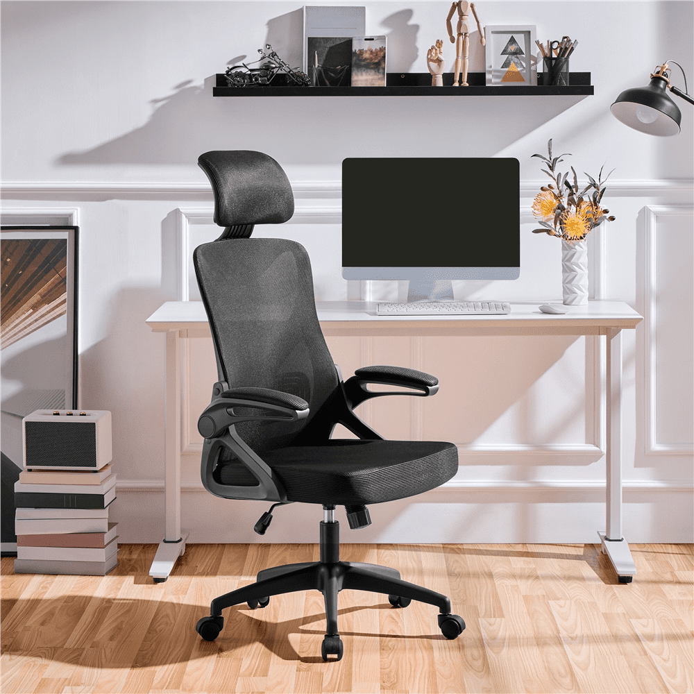 Renwick Set of 2 High Back Office Chair Computer Chair for Adult, Black