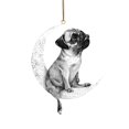thumbnail image 4 of Adorno navideño para colgar en la ventana con forma de perro BLESIY Acrílico 10 x 8 cm Estilo A, 4 of 8
