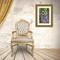 thumbnail image 3 of Terrill, Steve 11x14 Gold Ornate Wood Framed with Double Matting Museum Art Print Titled - USA, Oregon Ladybug on lupine flower, 3 of 4