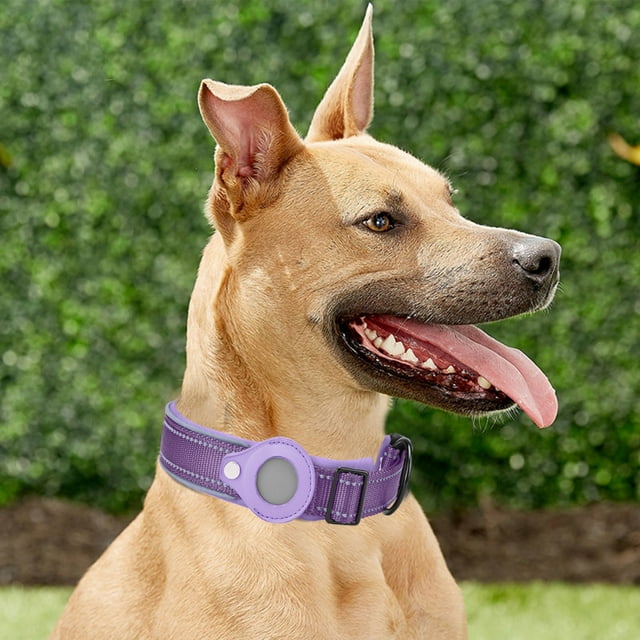 Pet Collars Product Title for Tracking Cover for Dog Positioning Training Nylon Pet Durable Accessory