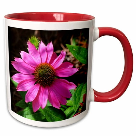 3dRose Stand Alone Coneflower is a photo of a single pink coneflower - Two Tone Red Mug,