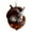 C, variant on Sunxin Hangs Animal Ornaments Christmas Ornaments 2D Acrylic Animal Christmas Tree Pendant Figurine Decorative Home for Wall Room Garden, One Donkey Pine Nut Animal Pendant