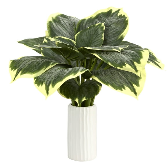 19in. Variegated Hosta Artificial Plant in White Planter