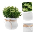 thumbnail image 6 of Small Fake Bonsai Simulation Greenery, Ongmies Small Bonsai Artificial Plant – Faux Greenery for Desk & Outdoor Home Decoration, 1 Pot of Artificial Daisy Flowers, 6 of 9