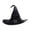 stag126 Women's Witch Hats-Black, variant on BRICH Witch Hat Novelty for Adult Women Decoration Accessory Witch Hat Purple One Size