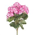 thumbnail image 1 of Vickerman FQ173102 18 in. Geranium Bush - Light Pink, 1 of 2