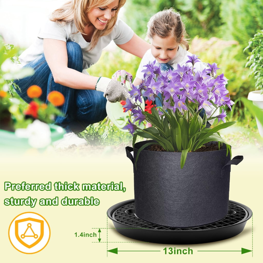 Pack of Water Absorbing Fabric Container Grounds Highlighting Recyclable Dampness Transfer Tape