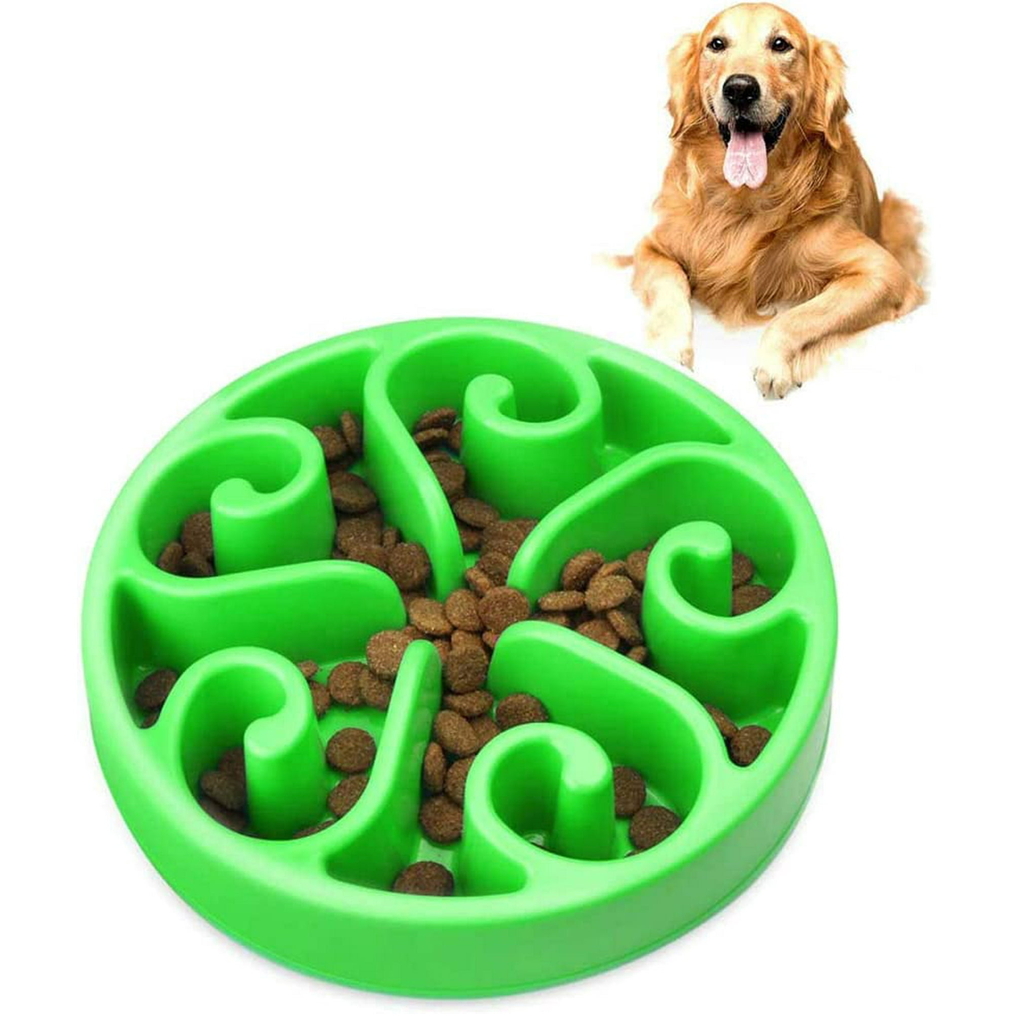 Dog slow food bowl 2025