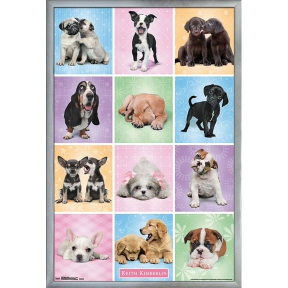 Keith Kimberlin - Puppies - Cuties Grid Wall Poster, 22.375" x 34", Framed