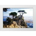 thumbnail image 3 of Alan Hausenflock 18x13 White Modern Wood Framed Wall Art Titled - Lone Cypress II, 3 of 5