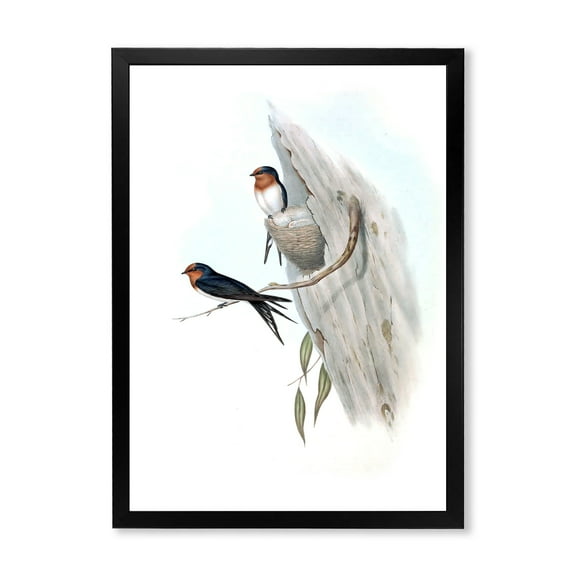 Designart 'Ancient Australian Bird Illustrations II' Traditional Framed Art Print