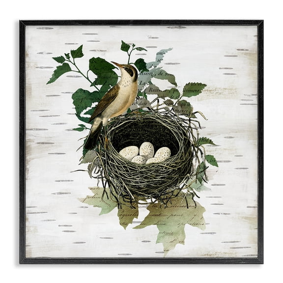 Stupell Industries Vintage Bird Nest & Flora Animals Painting Black Framed Art Print Wall Art, 12 x 12