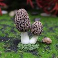 thumbnail image 2 of Billuyoard Mini estatuilla de setas de 3 piezas, adorno en miniatura para jardín, paisaje de escritorio, maceta, terrario, bonsái Artificial, manualidades Plantas Artificiales Tipo 1 Billuyoard HA071779-01, 2 of 6