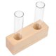 thumbnail image 1 of Clear Glass Propagation Tube Desktop Ornament Terrarium Indoor Decoration Scandinavian Style 1Pcs, 1 of 4