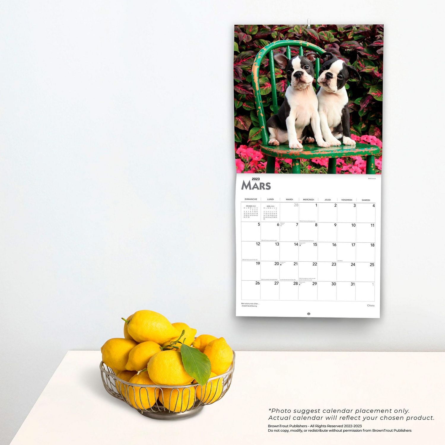 Chiots | 2023 12x24 Inch Square Wall Calendar
