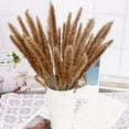 thumbnail image 5 of SDJMa Beautiful Pampas Grass Bouquet Decor, Long-Lasting Dried Flowers Bouquet for Boho Home Decor and Boho Wedding Decor, 5 of 9