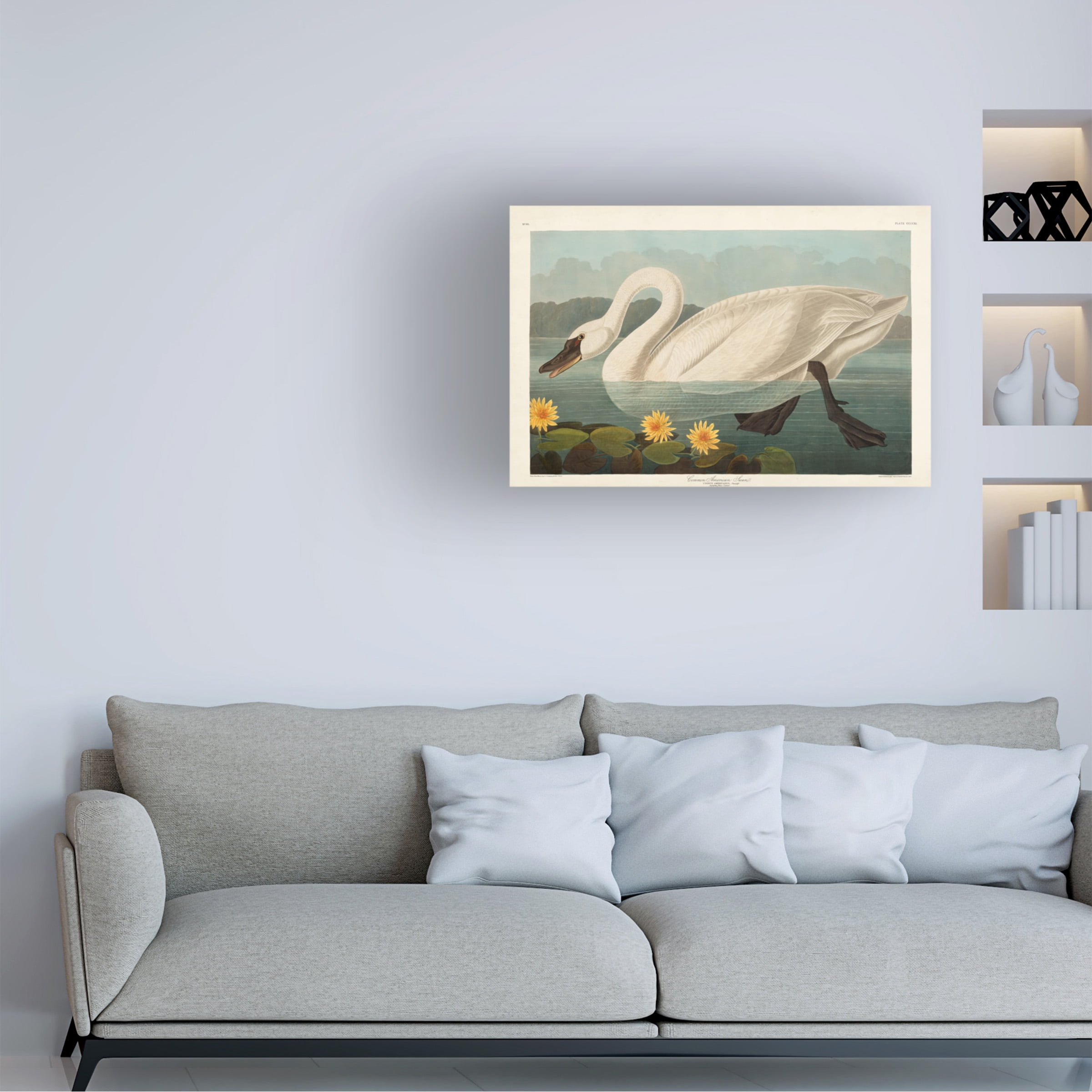 John James Audubon 'Common Swan' Canvas Art