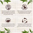 thumbnail image 1 of Garnier Whole Blends, 1 of 5