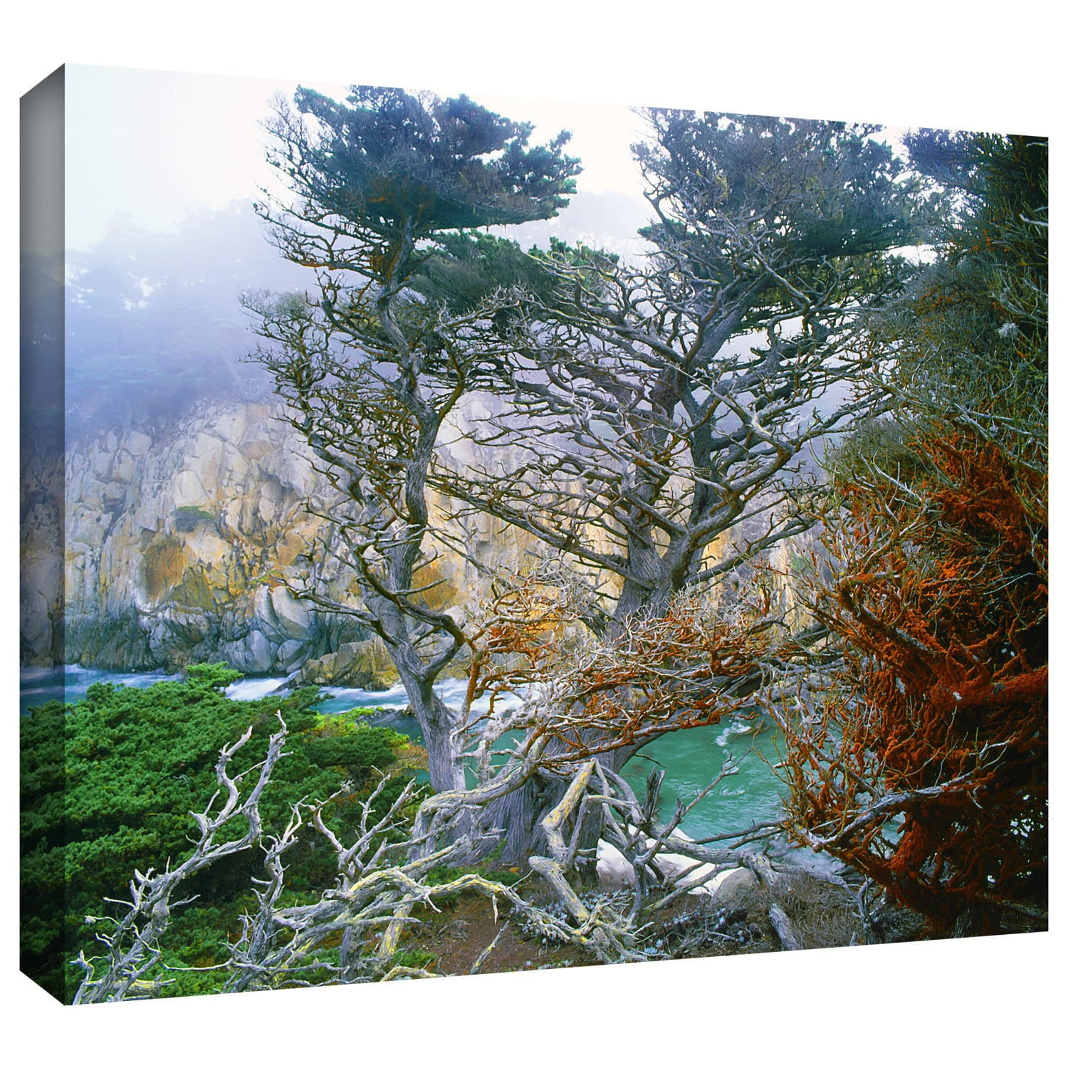 Dean Uhlinger "Whalers Cove Morning Point Lobos" Gallery-Wrapped Canvas