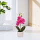 thumbnail image 5 of Decoración del hogar, decoración de habitaciones, decoración de paredes, orquídea Phalaenopsis artificial, arreglo floral realista, decoración en maceta, accesorio para fotografía de bodas, flores, pl, 5 of 9
