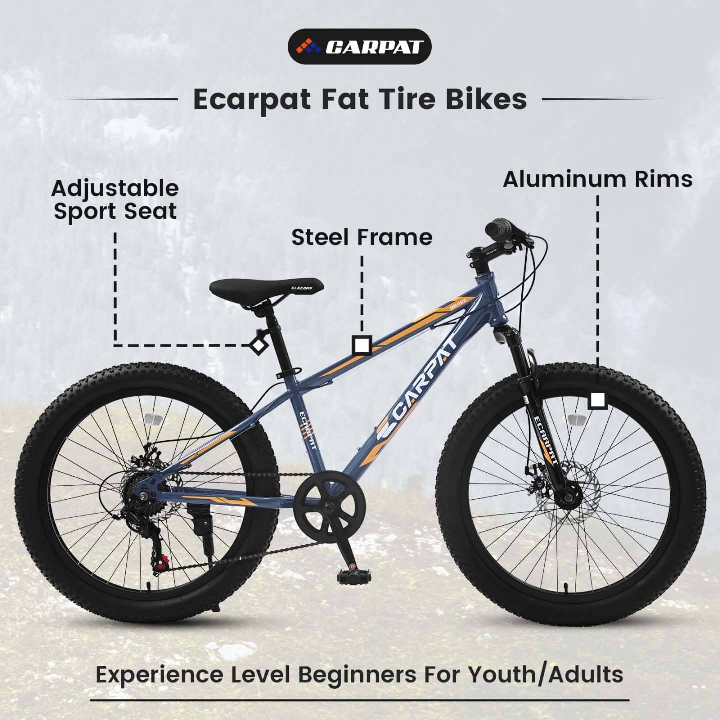 Fat Tire Mountain Bike with Dual Disc Brake, 21 Speeds High-Carbon Steel Frame Bike with Front Suspension, Adult Sport Bicycle for Men and Women, Gray