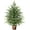 2FT, variant on Lyacmy 2ft Tabletop Christmas Tree Potted Faux Norfolk Pine for Indoor, Artificial Topiary Cedar Trees for Outdoor, Fake Cypress Trees Plants