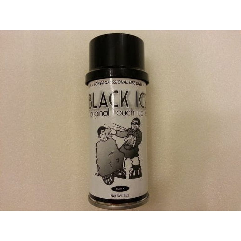 Black Ice Touch Up Spray 4 oz