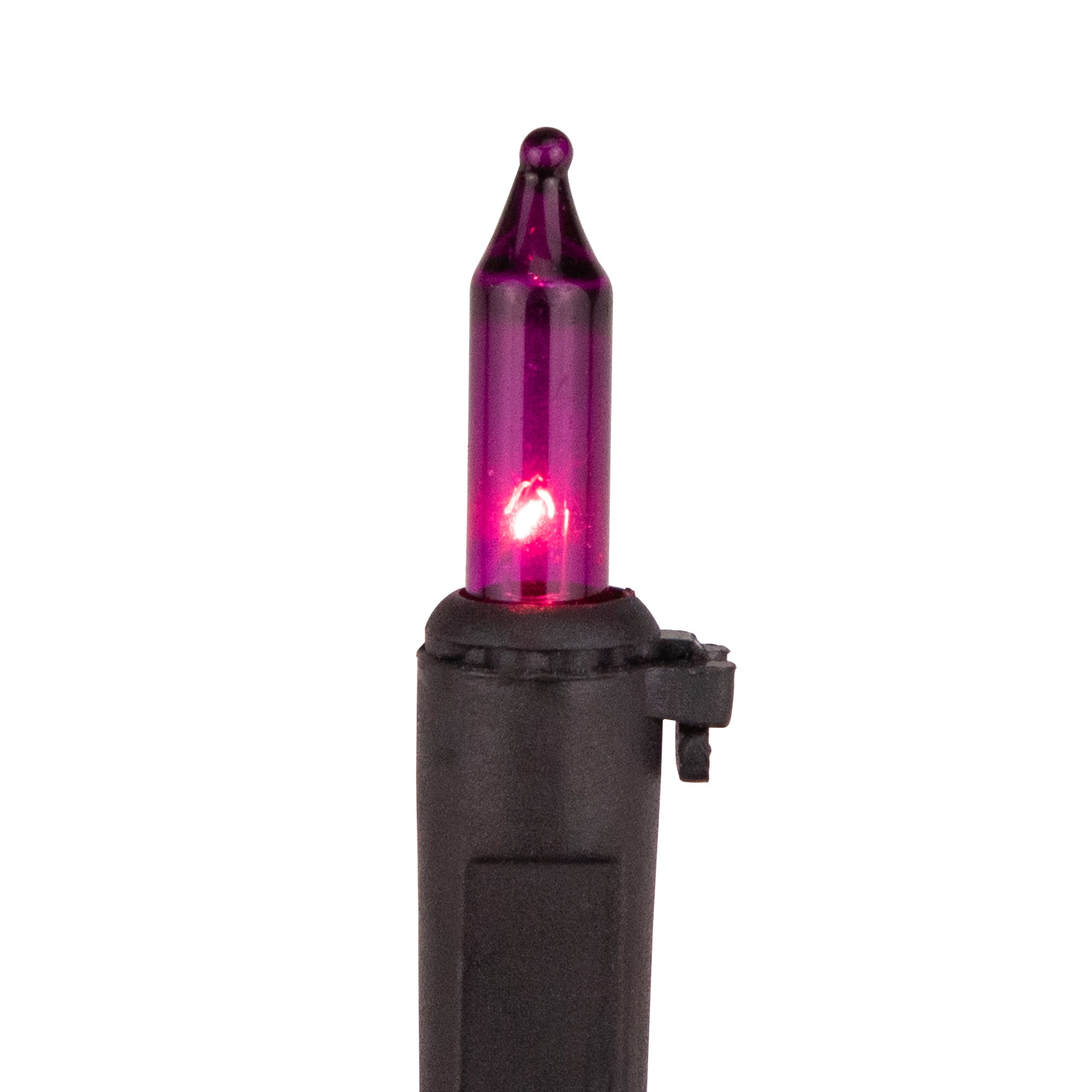 Set of 100 Purple Mini Christmas Lights 2.5" Spacing - Black Wire