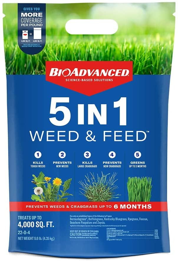 Image of Weed and feed lawn image 1