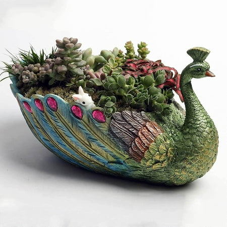 Peacock Succulents Planter Plants Pot,Resin Animal Planter with Drainage Hole,Decorative Large Flowers Pots Cactus Container for Garden Peacock GiftPeacock Green (9x5inch) | Walmart Canada Peacock Succulents Planter Plants Pot,Resin Animal Planter with Drainage Hole,Decorative Large Flowers Pots Cactus Container for Garden Peacock GiftPeacock Green (9x5inch) | Walmart Canada