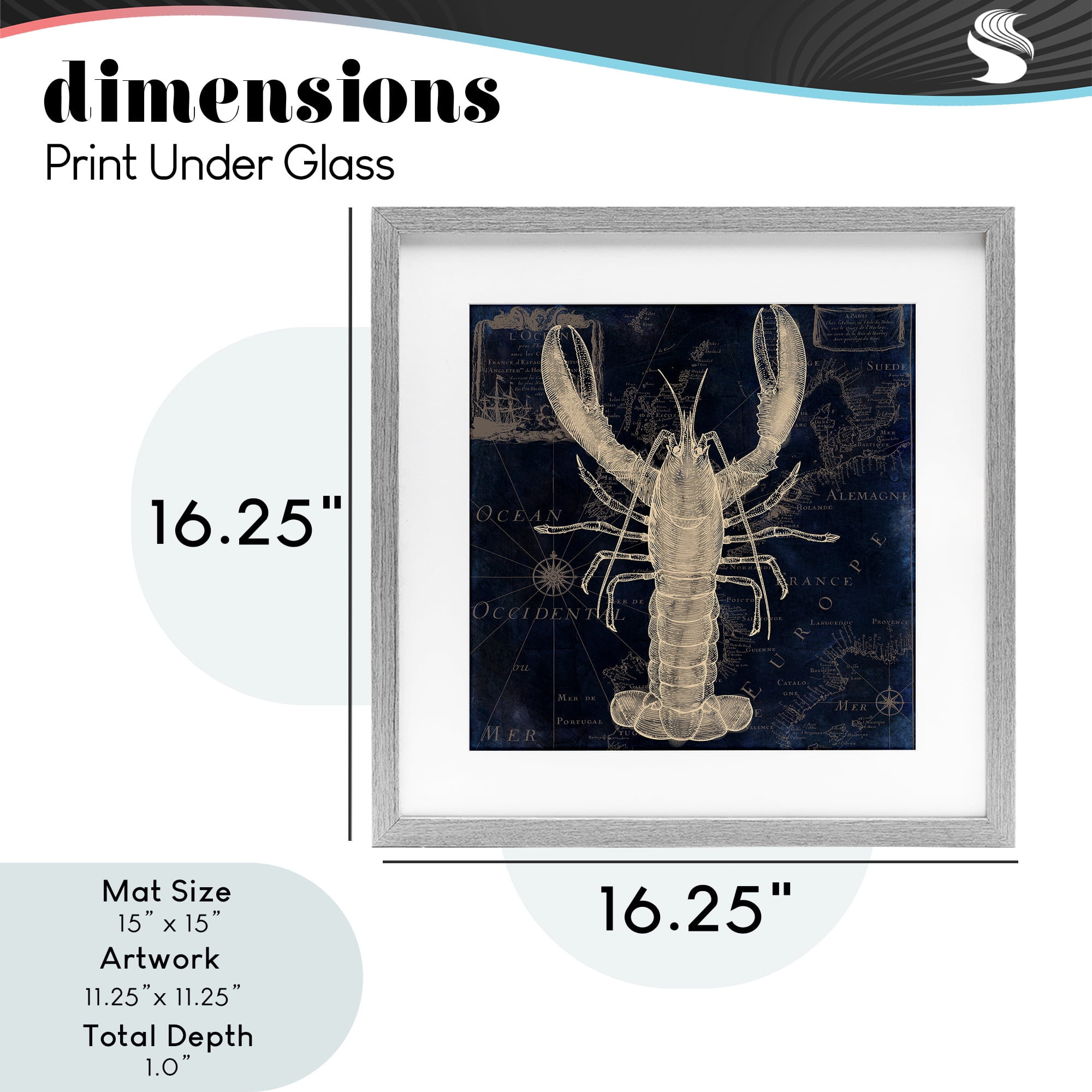 Lobster Contour over Map Gray Framed Print Under Glass, design by Sasha