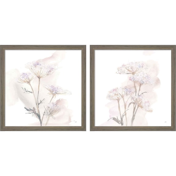 Great Art Now Queen Annes Lace by Chris Paschke, 2 Piece Framed Art Set Each 13"W x 13H