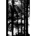 thumbnail image 2 of Berzel, Erin 11x14 Black Ornate Wood Framed with Double Matting Museum Art Print Titled - Light and Shadows II, 2 of 4