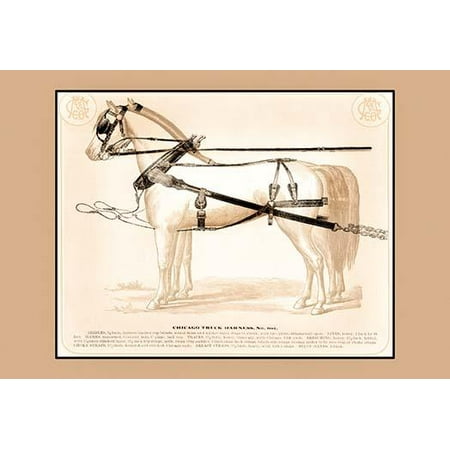 Chicago Truck Harness - Chicago Truck Harness- Fine Art Canvas Print (20